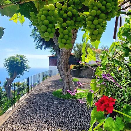 Torre Bella Gardens Villa Arco da Calheta  Bagian luar foto