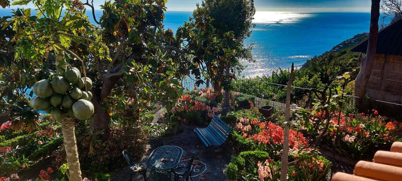 Torre Bella Gardens Villa Arco da Calheta  Bagian luar foto